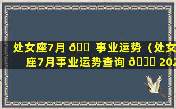 处女座7月 🐠 事业运势（处女座7月事业运势查询 🐅 2021）